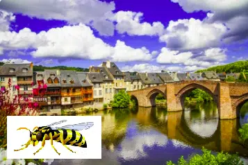 Liste des entreprises guêpes et frelons de l'Aveyron 12, Rodez, Villefranche de Rouergue, Millau, et toutes les communes de l'Aveyron