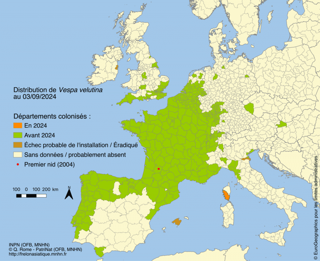 de la présence du Frelon asiatique en 2024 en Europe
