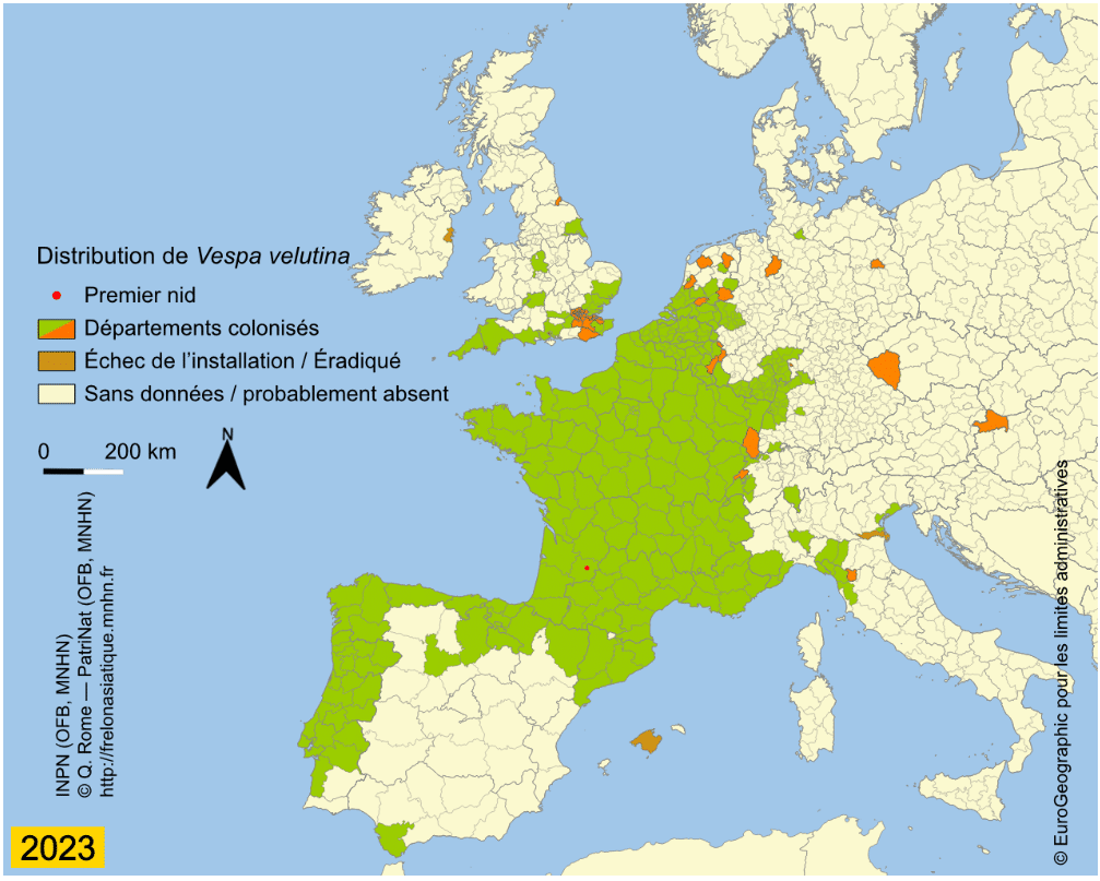 Carte frelon asiatique 2023