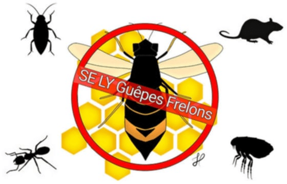 SE LY Guêpes Frelons à Pringonrieux